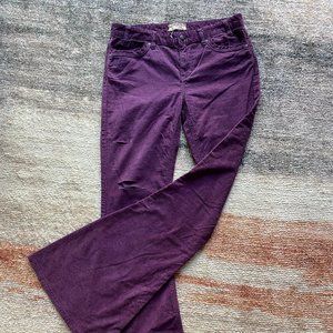 Free People Corduroy Flare Pants in Purple